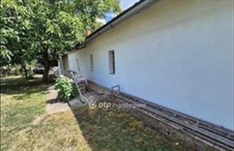 Eladó Szentesi tanya hirdetés (34233899)