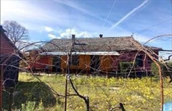 Eladó Csongrádi tanya hirdetés (36344132)