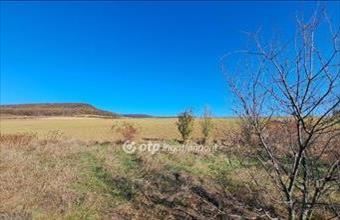 Eladó Pilisborosjenői egyéb telek hirdetés (29693341)