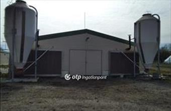 Kiadó Szentesi fejlesztési lakóterület hirdetés (88359892)