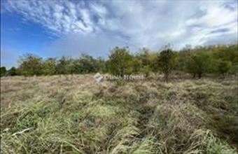 Eladó Csömöri külterületi telek hirdetés (14725334)