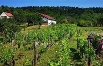 Eladó Magyarpolányi egyéb mezőgazdasági ingatlan hirdetés (31542332)