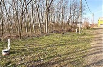 Eladó Újfehértói lakóövezeti telek hirdetés (99657444)