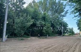 Eladó Újfehértói lakóövezeti telek hirdetés (99657444)