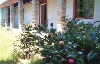 Eladó Dusnoki családi ház hirdetés (32978755)