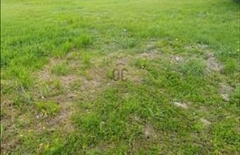 Eladó Zalacsányi lakóövezeti telek hirdetés (33932916)