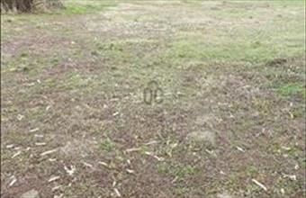 Eladó Zalacsányi lakóövezeti telek hirdetés (22749398)