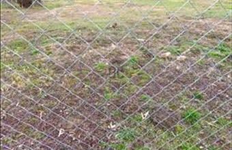 Eladó Zalacsányi lakóövezeti telek hirdetés (47829835)