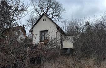 Eladó Szentendrei lakóövezeti telek hirdetés (33992424)