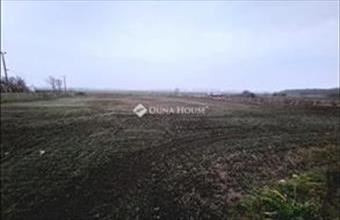 Eladó Hatvani pince, présház hirdetés (43134896)