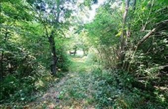 Eladó Balatonakali egyéb mezőgazdasági ingatlan hirdetés (34386445)