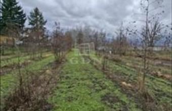 Eladó Nagyigmándi termőföld, szántó hirdetés (38545898)