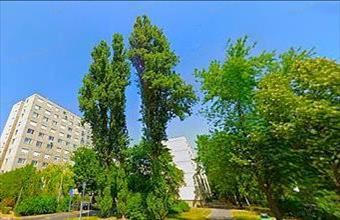 Eladó Győri panel lakás hirdetés (74968773)