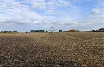 Eladó Nyíregyházai lakóövezeti telek hirdetés (75475734)