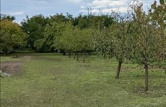 Eladó Nyíregyházai lakóövezeti telek hirdetés (88379557)