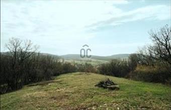 Eladó Balatonszőlősi lakóövezeti telek hirdetés (35849235)