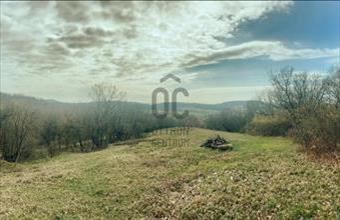 Eladó Balatonszőlősi lakóövezeti telek hirdetés (45476346)