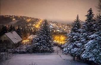 Eladó Budapest II. kerületi családi ház hirdetés (14893497)