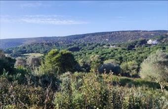 Eladó Spanyolországi lakóövezeti telek hirdetés (32654352)