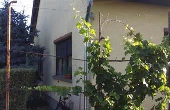 Eladó Rákóczifalvai családi ház hirdetés (66942353)