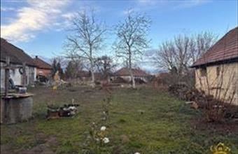 Eladó Tököli lakóövezeti telek hirdetés (65386485)