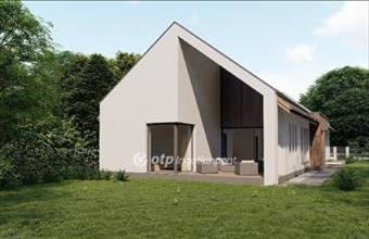 Eladó Szigetcsépi családi ház hirdetés (14738966)