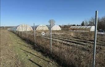 Eladó Kecskeméti külterületi telek hirdetés (57565645)