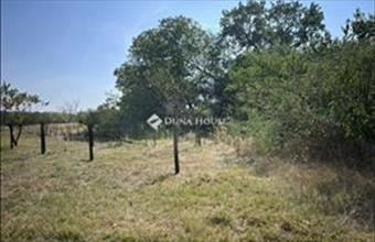 Eladó Kecskeméti tanya hirdetés (43343831)