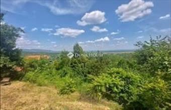 Eladó Pomázi családi ház hirdetés (35538735)