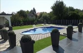 Eladó Ürömi családi ház hirdetés (47954139)