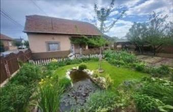 Eladó Vecsési családi ház hirdetés (38799528)