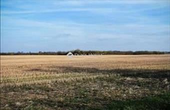 Eladó Szabadhídvégi külterületi telek hirdetés (59973184)