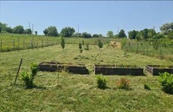Eladó Balatonkenesei lakóövezeti telek hirdetés (74999496)