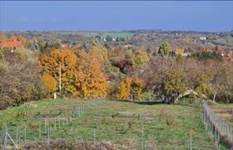 Eladó Balatonkenesei lakóövezeti telek hirdetés (88835592)