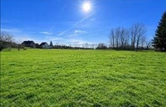 Eladó Nagyesztergári lakóövezeti telek hirdetés (73333335)