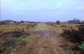 Eladó Tököli lakóövezeti telek hirdetés (75723125)