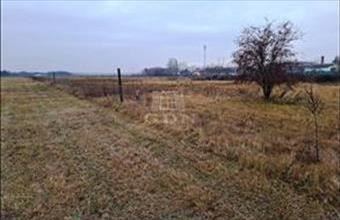 Eladó Tököli lakóövezeti telek hirdetés (75723125)