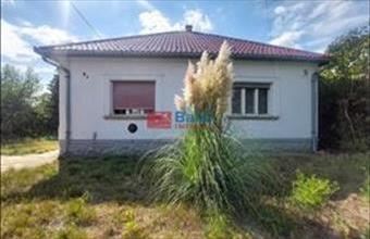 Eladó Tápiószecsői családi ház hirdetés (24469423)