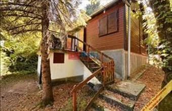 Eladó Tahitótfalui családi ház hirdetés (68574434)