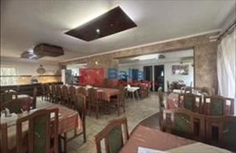 Eladó Vecsési családi ház hirdetés (62132926)