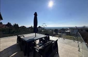 Eladó Szentendrei családi ház hirdetés (31752893)