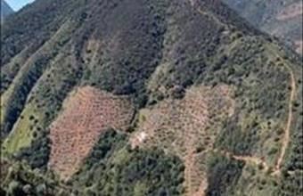 Eladó Spanyolországi lakóövezeti telek hirdetés (27785422)