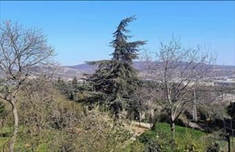 Eladó Törökbálinti családi ház hirdetés (33477497)