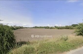 Eladó Szigetszentmiklósi termőföld, szántó hirdetés (94284537)