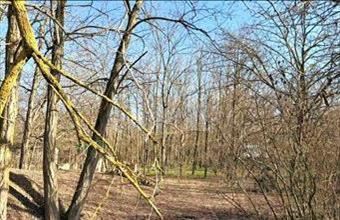 Eladó Dabasi egyéb telek hirdetés (49952339)