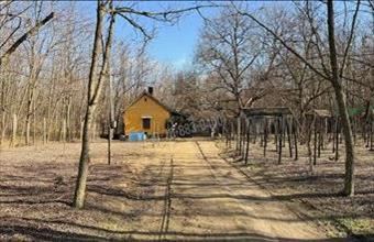 Eladó Dabasi családi ház hirdetés (96473712)