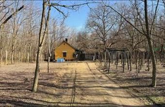 Eladó Dabasi családi ház hirdetés (96473712)