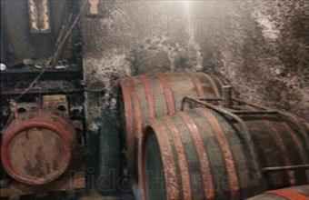 Eladó Zalaszentlászlói hétvégi ház hirdetés (95859644)