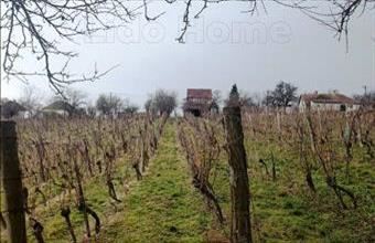 Eladó Zalaszentlászlói hétvégi ház hirdetés (95859644)