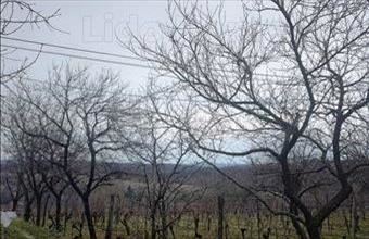 Eladó Zalaszentlászlói hétvégi ház hirdetés (95859644)